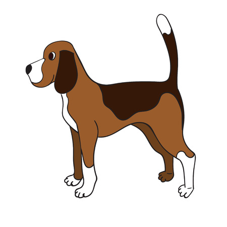 Cute cartoon beagle isolated on white background. Funny dog. Vector illustration. Eps 10.のイラスト素材