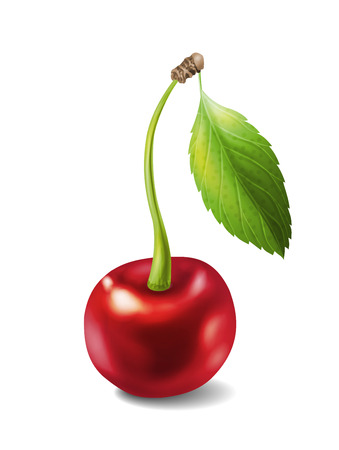 Vector cherry with stem and leaf. Isolated on white background. Suitable for advertising yogurt, ice-cream, juice, jam, desserts.  のイラスト素材