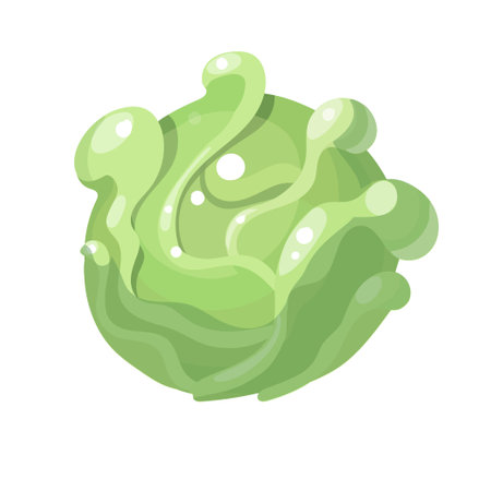 Cartoon cabbage isolated on white background. Vector illustrationのイラスト素材