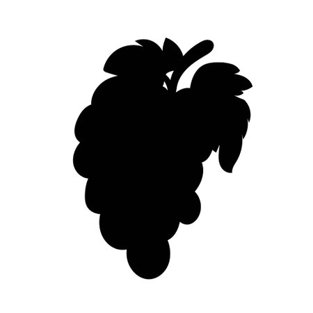 Cartoon grape black silhouette isolated on white background. Vector illustration.の写真素材