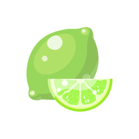 Lime fruit in cartoon style depicting whole and half of fresh juicy citruses isolated on white background. Vector illustration.のイラスト素材