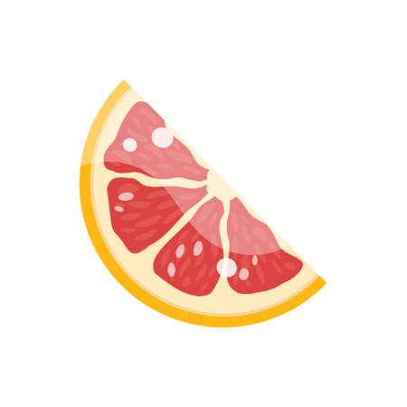 Vector grapefruit. Sliced. Isolated on white backgroundのイラスト素材