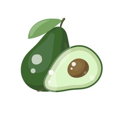 Flat icon fruit avocado with leaf. Whole and slice. Vector illustration isolated on white backgroundのイラスト素材