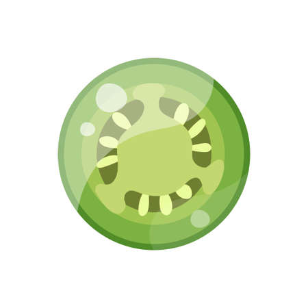 Chili pepper slice isolated on white background. Green pepper icon. Hot spicy chilli. Jalapeno, spice, traditional ingredient of Mexican cuisine. Vectorのイラスト素材