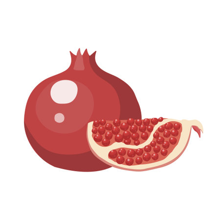 Vector illustration. Whole ripe fruit red pomegranate, cut half sliced garnet. Isolated on whiteのイラスト素材
