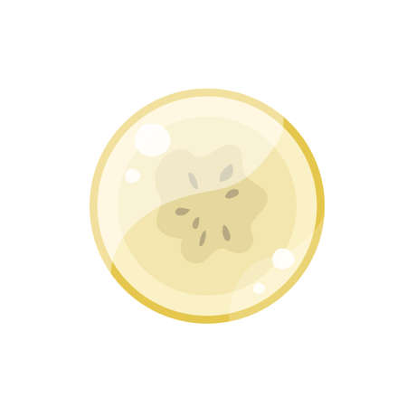 Cartoon banana slice. Tasty sweet yellow sliced banana for advertising and package design. Vector illustration isolated on whiteのイラスト素材