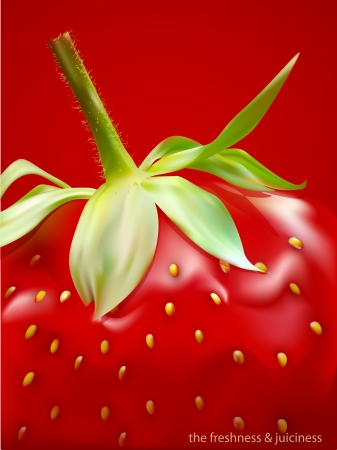 ripe strawberry close-up on a red backgroundのイラスト素材