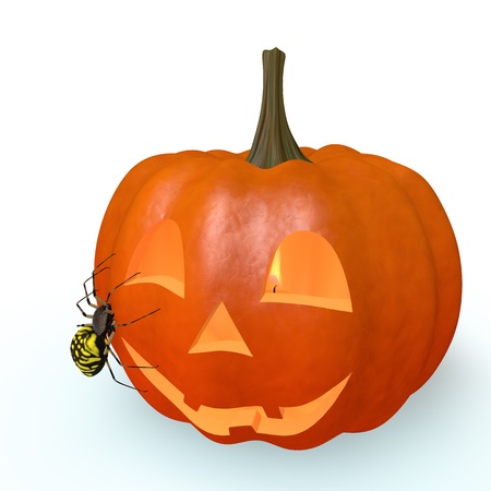 Smiling pumpkin and spider on a white backgroundの写真素材