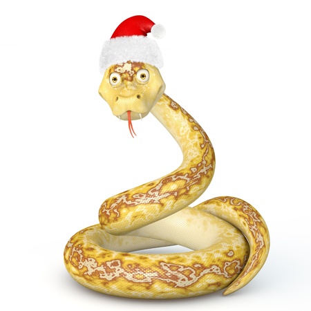 Snake coiled ring on a white backgroundの写真素材