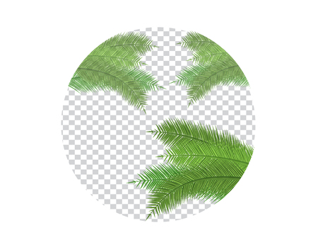 Palm Leaf Vector Illustration on Transparent Backgroundのイラスト素材