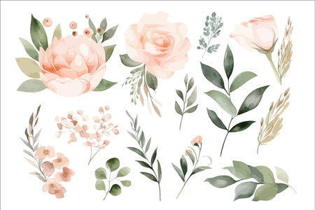 Watercolor floral illustration set. Decorative flower elements template. Flat cartoon illustration isolated on white backgroundのイラスト素材