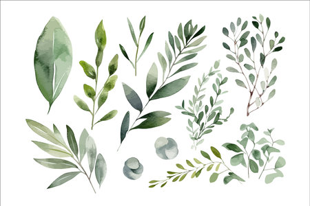 Watercolor floral illustration set. Decorative flower elements template. Flat cartoon illustration isolated on white backgroundのイラスト素材