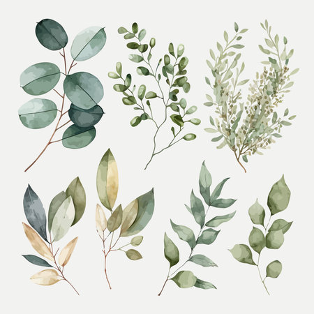 Watercolor floral illustration set - green leaf branches collection. Decorative elements template. Flat cartoon illustration isolated on white backgroundのイラスト素材