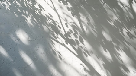 On a white wall, there is an abstract shadowの写真素材