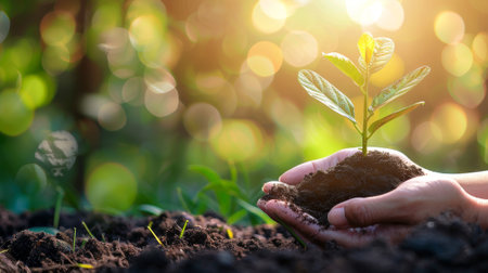 Farmer growing and nurturing tree on fertile soil / nurturing baby plant / protecting nature / Earth...