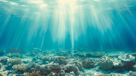 A tropical seabed with reefs and sunshine under the waterの素材