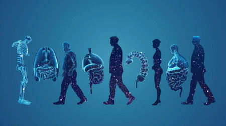 Modern illustration showing the life cycles of man, from the baby to the senior man.の素材