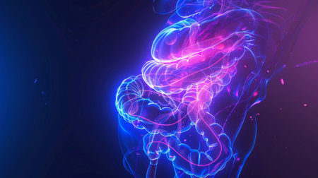 Illustration of a futuristic medical hologram neon glow background with a transparent human stomach digestive systemの素材