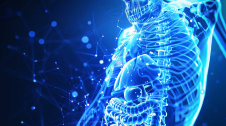 This is a modern illustration of a bone structure used in medical education.の素材