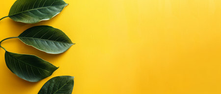 Background of yellow pastel with green leaf on frame paper.の素材