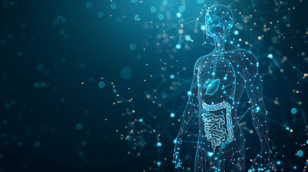 Detailed low poly wireframe of the human body with scattered particles and light effects on dark background.の素材