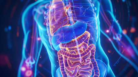 This is a blue anatomical body of a humanの素材