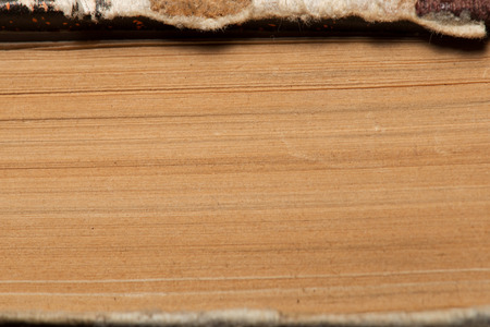 Close-up view of light brown striped grunge wooden texture used as backgroundの写真素材