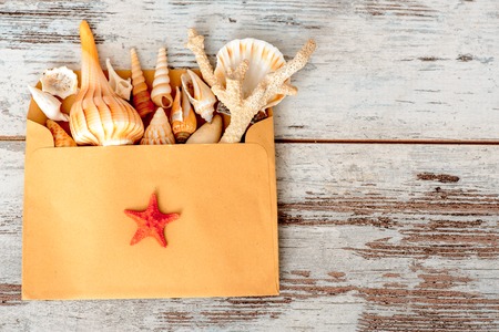 Sea concept composition with sea shells in envelopeの写真素材