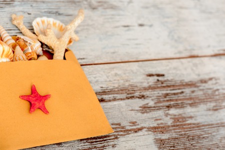 Sea concept composition with sea shells in envelopeの写真素材