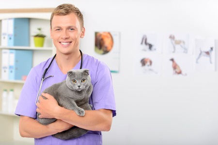 Love my job. Pleasant cheerful handsome smiling vet holding cat and going to examine it while standing in his consulting roomの写真素材