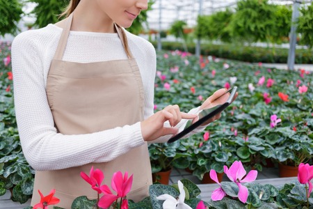 Diligent worker. Close up of tablet in hands of pleasant positive female florist holding it and doing her jobの写真素材
