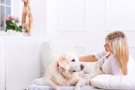 Pleasant content nice woman holding her hand on the dog and palming it while feeling happyの写真素材