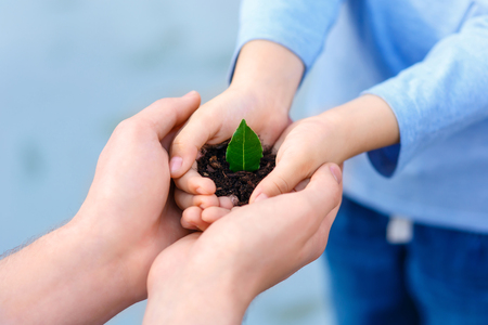 Life in our hands. Close up two pairs of hands sharing one growing green plant.の写真素材