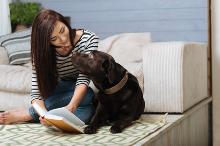 Tender attentive woman showing something to her Labradorの写真素材