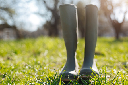 Green rubber boots in country house yardの写真素材