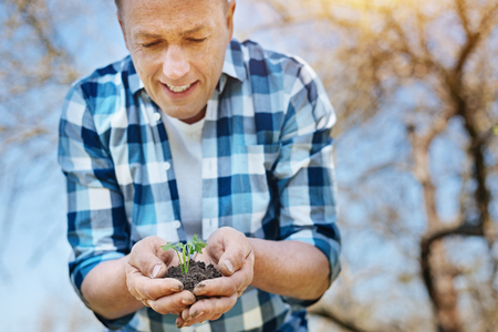 Adult farmer looking at green sapling in his handsの写真素材