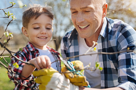 Smiling family members taking care of treesの写真素材