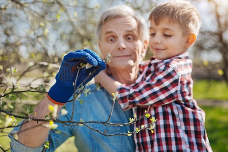 Senior gardener spending free time with grandson in yardの写真素材