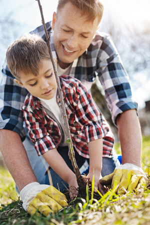 Radiant father teaches son how to plant treesの写真素材