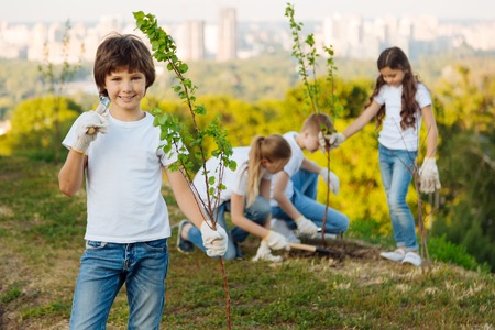 Confident boy posing on camera near his treeの写真素材