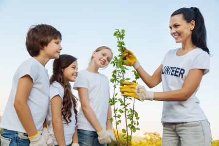 Delighted woman showing young plantの写真素材