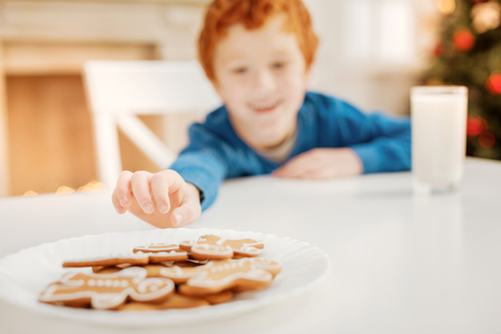 Smiling ginger kid reaching for home baked gingerbread manの写真素材