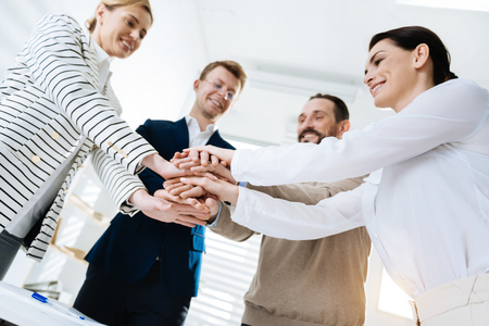 Dream team. Positive vigorous  four colleagues staying while holding hands together and grinning
