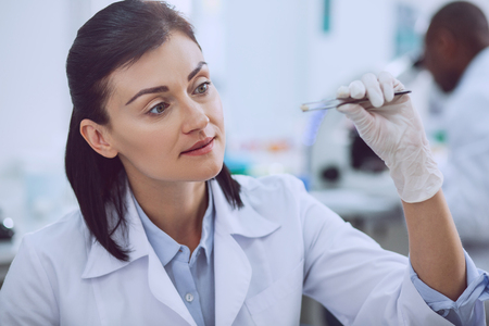 Amazing results. Alert young biologist taking a test with seeds while working in the labの写真素材