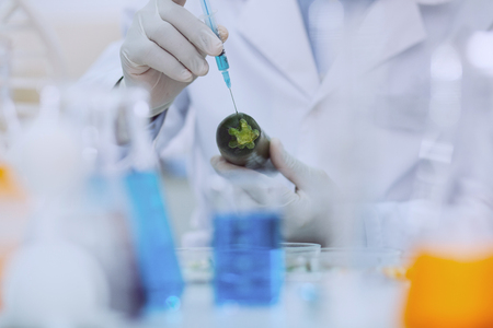 Good taste. Determined skilled biologist wearing a uniform and testing a marrow squashの写真素材