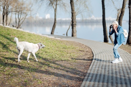 I am photographer. Glad mature woman taking pictures of a dog while walking in the parkの写真素材