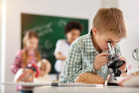 School curriculum. Nice smart boy looking into the microscope while having a biology classの写真素材