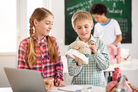 School curriculum. Joyful nice boy touching a human brain model while studying itの写真素材