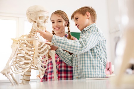 Smart team. Positive cheerful children working on their project while doing a school assignmentの写真素材