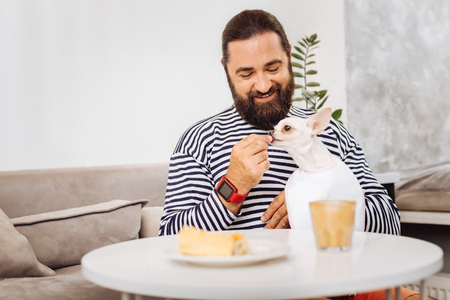 Dog on hands. Caring owner of cute dog smiling broadly while holding him on his hands sitting on sofaの写真素材